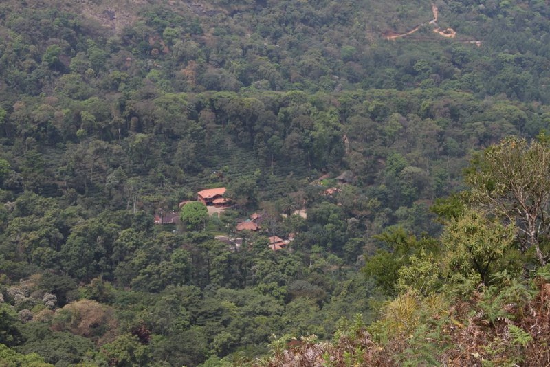 Honey Valley Estate seen from the Eastern summit.